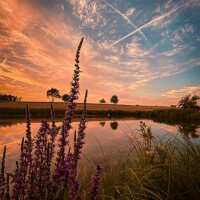 Lesen LED Bilder Bewertungen